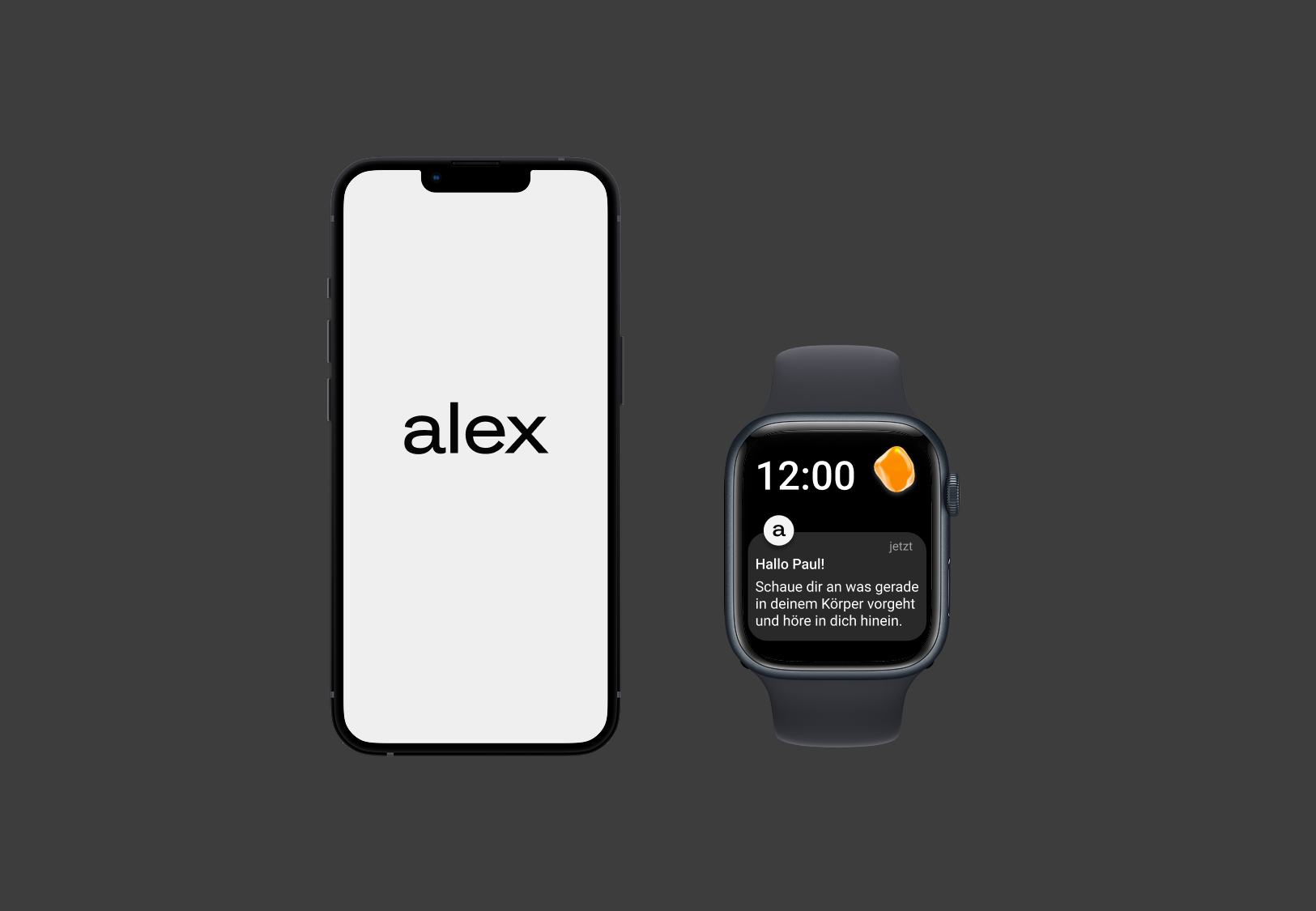 alex Project